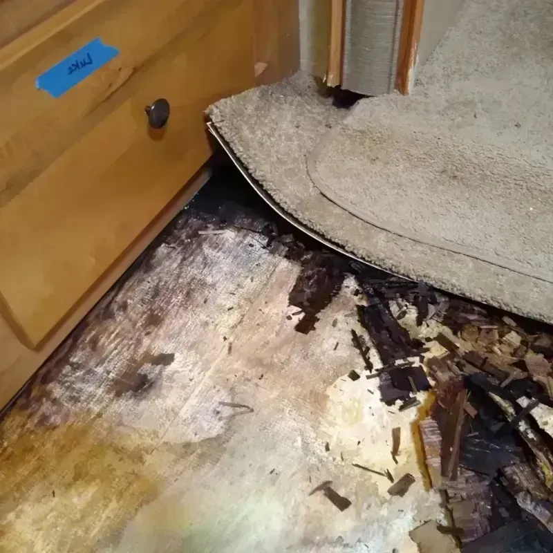 Wood Floor Water Damage in Coles County, IL